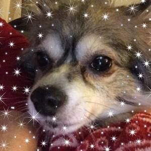 Meet your Posher, Lynn